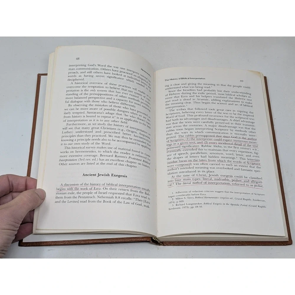 Hermeneutics Principles Processes of Biblical Interpretation by Henry Virkler 80
